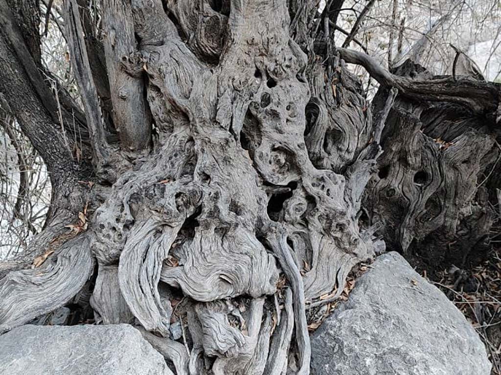 صعود موفق تیم کوهنوردی گرو ه داده پردازی پارسیان به قله تشگر؛ بام استان هرمزگان