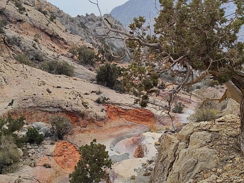 صعود موفق تیم کوهنوردی گرو ه داده پردازی پارسیان به قله تشگر؛ بام استان هرمزگان